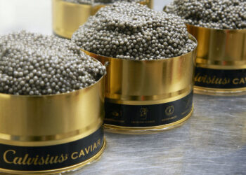 Agroittica (Calvisius) migliora l’ebitda nell’anno. Ricavi a 42 mln € 