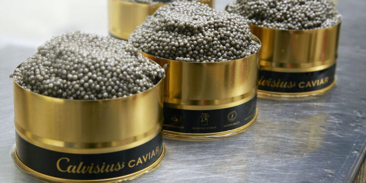 Agroittica (Calvisius) migliora l’ebitda nell’anno. Ricavi a 42 mln € 
