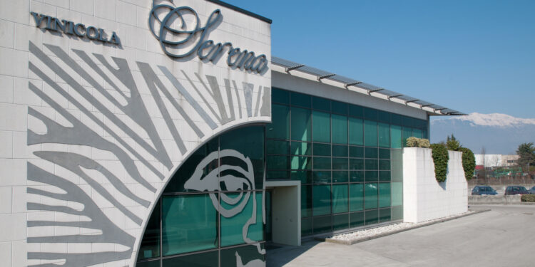 Serena Wines 1881 punta ai 150 milioni € di ricavi in 5 anni