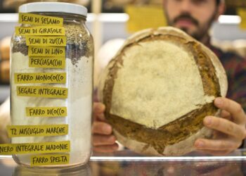 Si arresta lo slancio del crowdfunding: nel 2023 raccolti 10 mln € contro i 14 del 2022