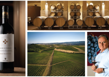 I 130 anni di Cecchi, famiglia toscana del vino, tra Sangiovese e sostenibilità