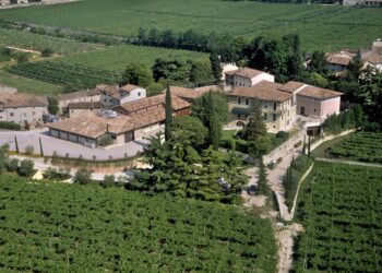 Vino, in Borsa è ancora hangover