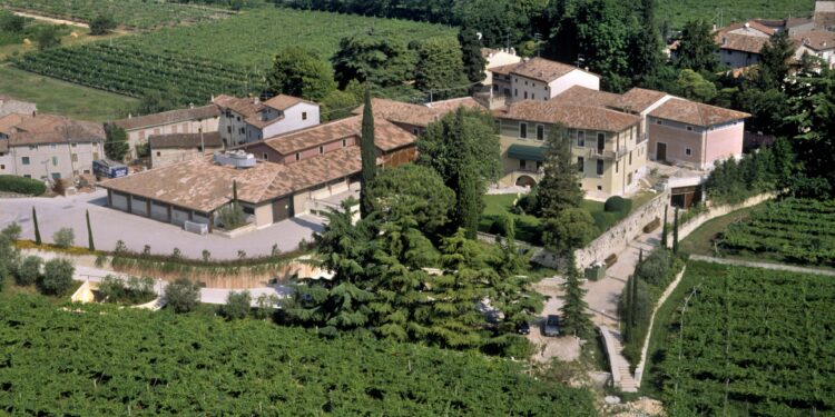Vino, in Borsa è ancora hangover