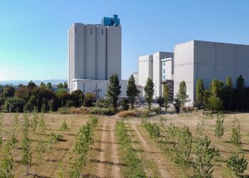 Agugiaro & Figna archivia l’esercizio in calo a 170 mln €