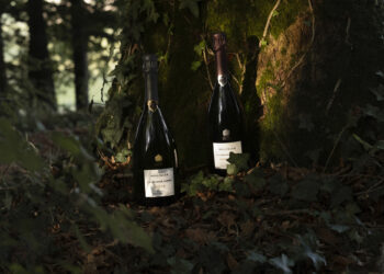 Champagne Bollinger propone le due Grande Année 2015