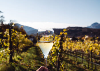 Trentodoc: sale il fatturato, scendono i volumi