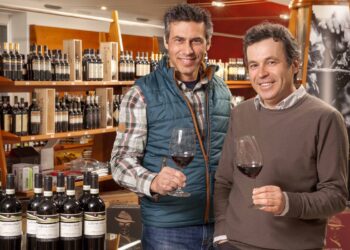 Vite Colte punta sull’alto di gamma. Ricavi a 22,5 mln € nel 2023