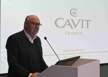 Zanoni (Cavit): “Per l’esercizio in corso stimiamo un consolidamento”