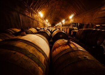 PwC: importanza economica, sociale e ambientale del settore vitivinicolo nell’Ue