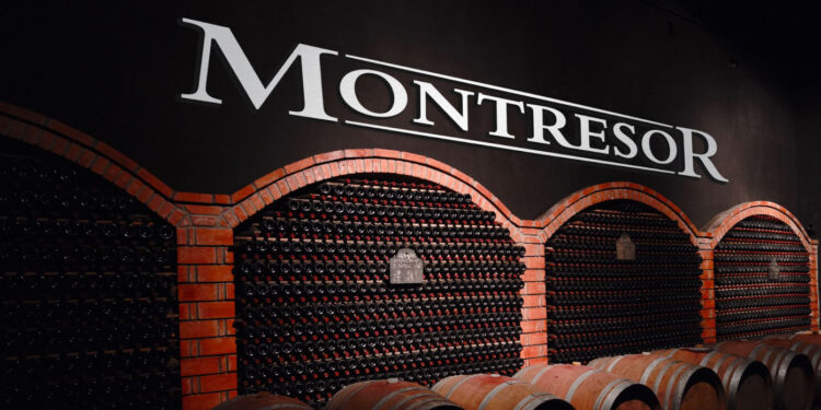 Cantine Montresor, 2023 in crescita con 22 mln € di ricavi