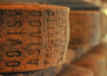 Asiago Dop, fatturato alla produzione di 160 mln € (+13,4%)