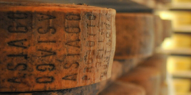 Asiago Dop, fatturato alla produzione di 160 mln € (+13,4%)