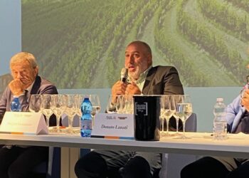 Barolo e Barbaresco, imbottigliato in leggero calo nei sei mesi