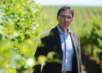 Scrinzi nominato direttore generale di Collis Veneto Wine Group