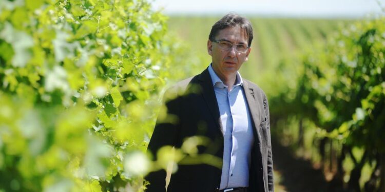 Scrinzi nominato direttore generale di Collis Veneto Wine Group