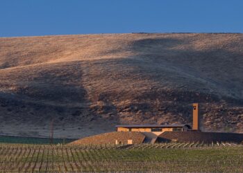 Antinori si consolida in Usa salendo al 100% di Col Solare