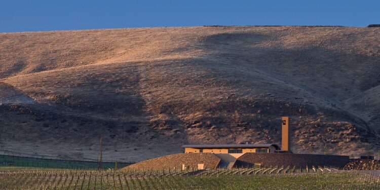 Antinori si consolida in Usa salendo al 100% di Col Solare