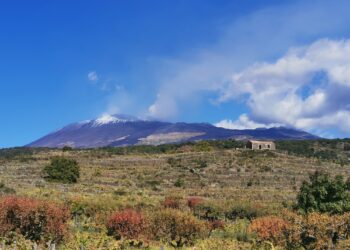Etna attrazione magnetica. Obiettivo Docg entro un paio d’anni