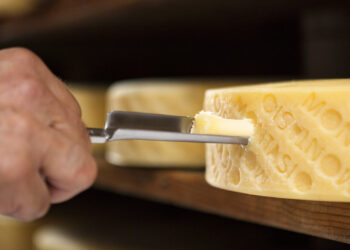 Montasio Dop, fatturato 2023 a 65 milioni di euro. Export al 7%