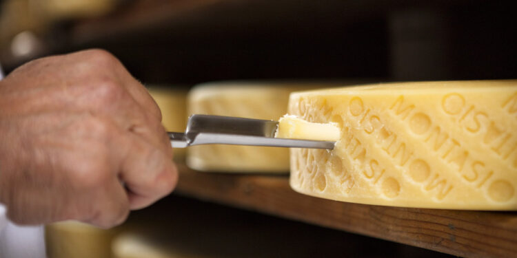 Montasio Dop, fatturato 2023 a 65 milioni di euro. Export al 7%