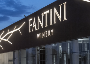 Fantini Wines: giù il fatturato, ma cresce il margine operativo