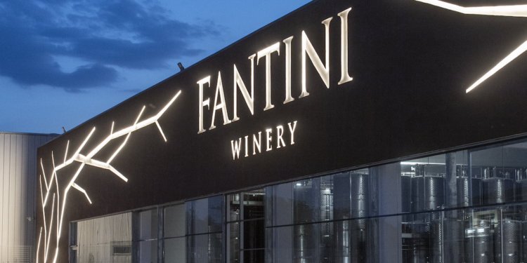 Fantini Wines: giù il fatturato, ma cresce il margine operativo