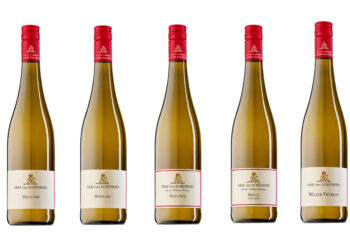 Sagna incrementa il portafoglio di vini tedeschi con Schloss Hallburg