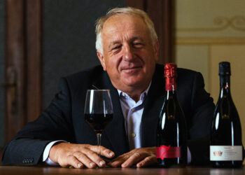 Cantina Settecani, fatturato stabile a 6,2 mln € nell’esercizio 2023-24