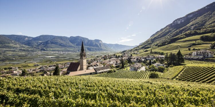 Vini Alto Adige, nel 2024 risultati in linea con l’esercizio precedente