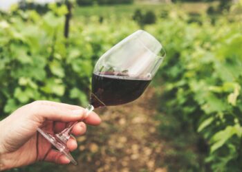 Usa, vino italiano in calo negli 8 mesi. Ma va meglio della media