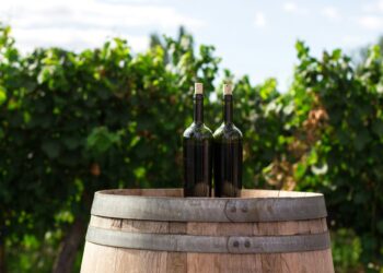 Export di vino italiano a 3,9 mld € nei sei mesi (+3%)