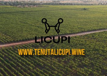 Vino, arte, ospitalità in Puglia: la nascita di Tenuta Licupi