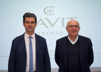 Gruppo Cavit, utile stabile a 4,9 milioni €. Cala il fatturato (-5%)