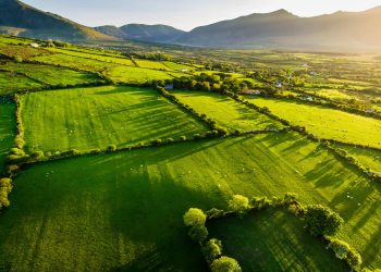 L’Irish Grass Fed Beef ottiene il prestigioso riconoscimento IGP