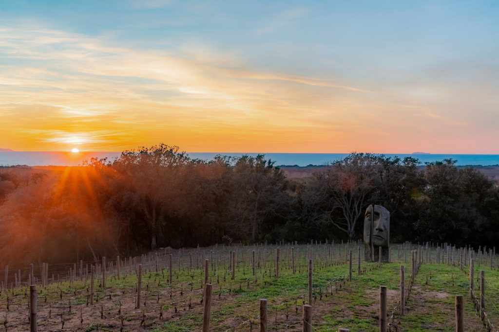 Tenuta Fratini