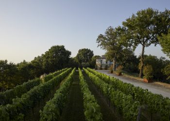 Tenute Capaldo stima ricavi a 32,5 mln €. Verso l’espansione dell’hospitality