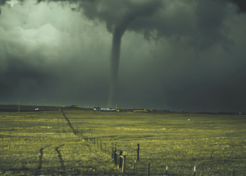 Il vino nella tempesta assicurativa: tra clima e rincari