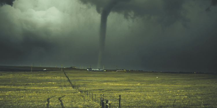 Il vino nella tempesta assicurativa: tra clima e rincari