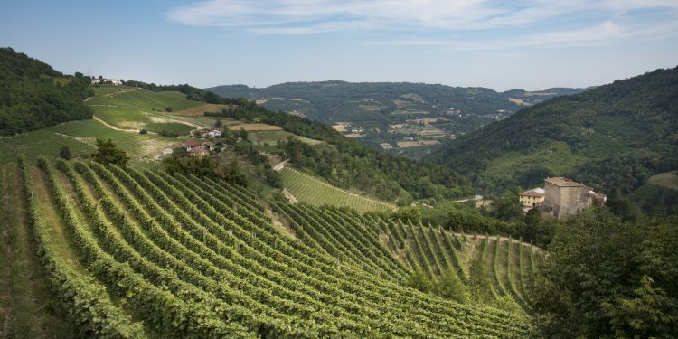 Alta Langa in ascesa. Giro d’affari sui 50 mln €