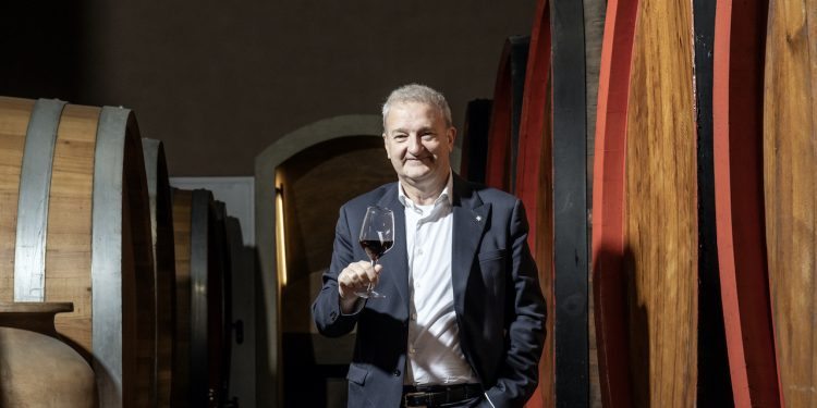 Gambesi è il nuovo direttore generale di Cantine Vitevis
