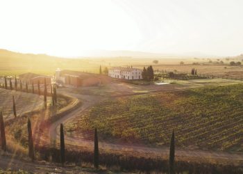 Meregalli e Verdore creano polo di vino e olio da 3 mln €