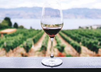 Vino italiano in chiaroscuro nel 2024. Analisi delle top 15 aziende per fatturato