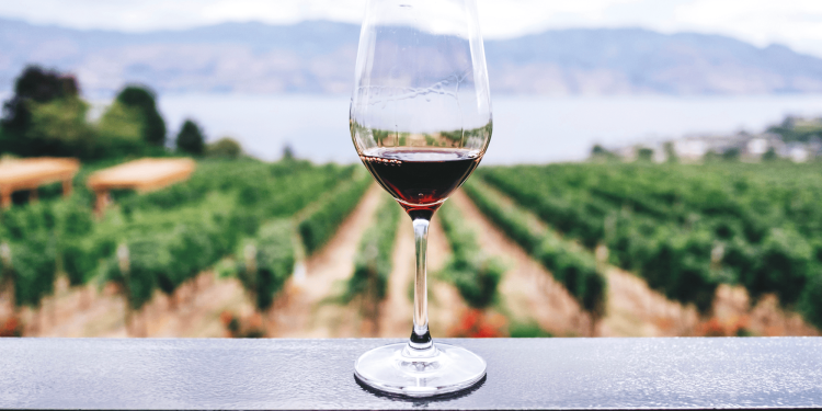 Vino italiano in chiaroscuro nel 2024. Analisi delle top 15 aziende per fatturato