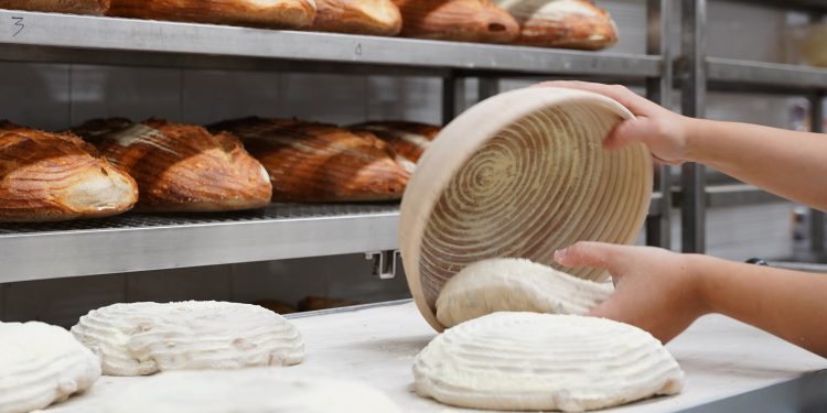 Il gruppo bakery di Forno Brisa e Longoni punta a 22 mln € di fatturato nel 2025