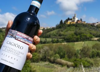 Ph. Cantina Tollo