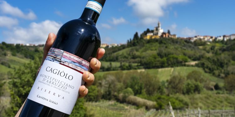 Ph. Cantina Tollo