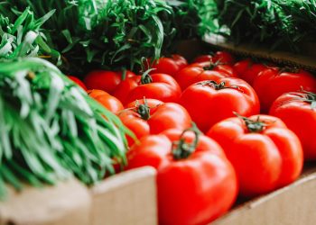 La Doria acquisisce i rami d’azienda Fegé e Fegé Logistica