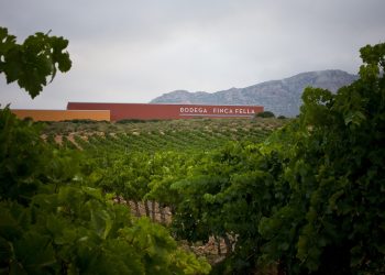 Bodega Finca Fella