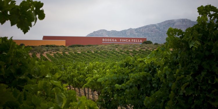 Bodega Finca Fella