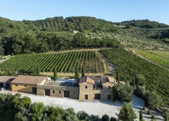 Famiglia Cecchi, sul piatto 8 milioni € per Aminta a Montalcino